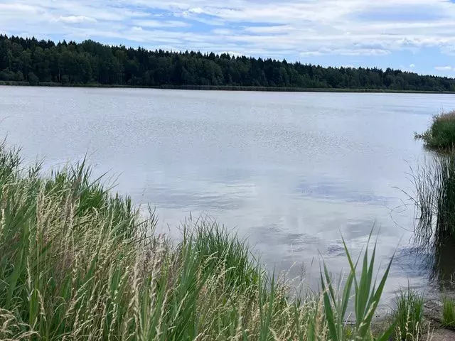 Padrtske rybniky02